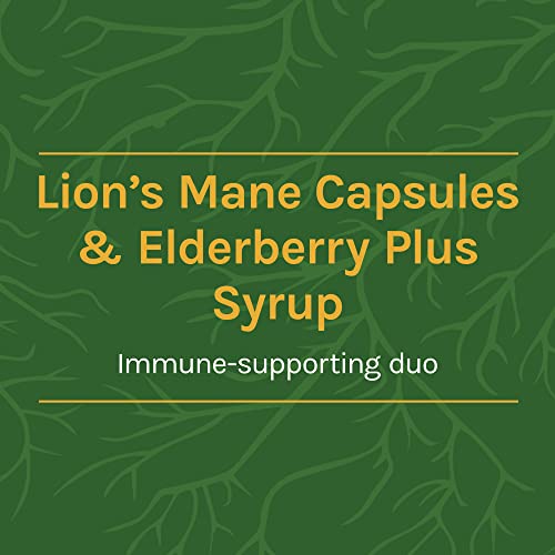 Host Defense Lion's Mane Capsules, 60 Count & Elderberry Plus Superfood Syrup, 4 Fluid Oz (12 Servings) #TOP1