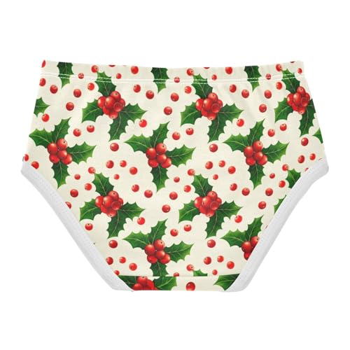 Girls' Underwear Christmas Fruit Toddle Brief Panties 23035592
