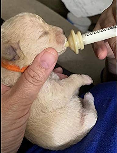 betevie Mini-Nippel mit Spritzen für Welpen, Kätzchen, Eichhörnchen und andere neugeborene Haustiere, 6 Stück