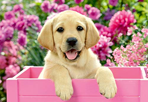 Puzzle 2 x 24 pièces : amis tout doux Ravensburger France - vue 4