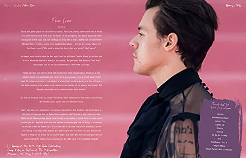 Harry Styles: Adore You: The Illustrated Biography