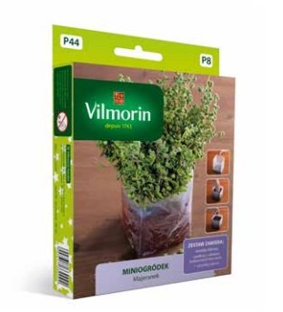 Mini Garden - Maggiorana - set iniziale per coltivazione indoor - semi