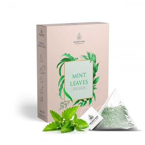 Image of Mint Herbal Infusion Pyramid Infusion TeaBags - 5