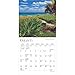 BrownTrout, Florida Coast 2025 Mini Wall Calendar