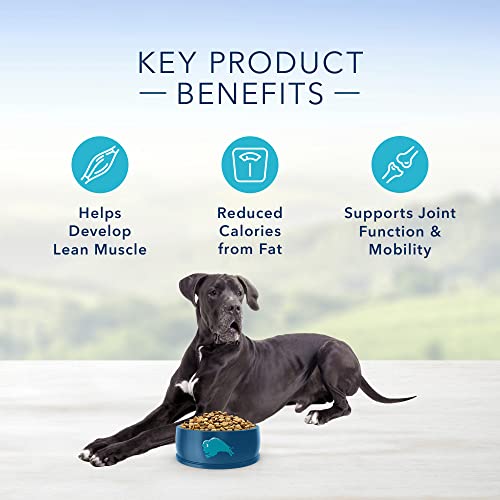 The Best Large Breed Puppy Foods for 2023 Dog food Review