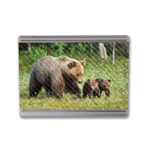 Image of MightySkins Carbon Fiber Skin Compatible with Microsoft Surface Laptop Go 3 (2023) Full Wrap Kit - Grizzly | Protective, Durable Textured Carbon Fiber Finish | Made in The USA