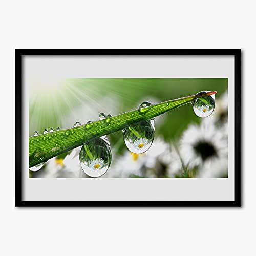 Affiche encadrée salon et chambre déco nature herbe et rosée matinale 70x50cm