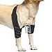 Lyderpet Dog Elbow Brace with Metal Splint,Hygroma Elbow Protector Pads for Dogs Shoulder Callus, Arthritis, Dysplasia, Dislocation, Pressure Sores, Support Front Leg Wrap(Both Left & Right)