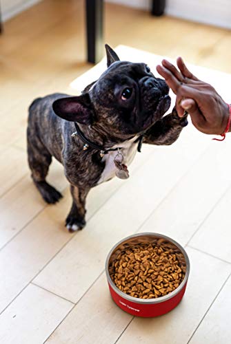 Super Sparrow Ciotole per Cani, Ciotole per Gatti