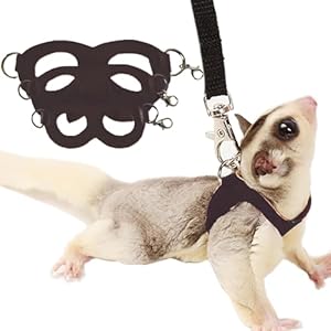 3 Pack Sugar Glider Harness and Leash Set Small Animal Training Walking Vest for Squirrel Hamster Rat-Black