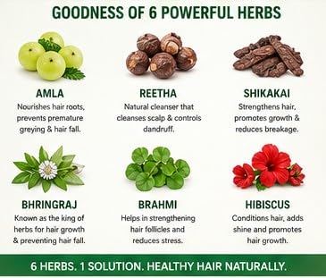 Image of Hibiscus, Reetha, Amla, Shikakai, Brahmi & Bhringraj Powder Combo for Hair Growth and Care (6 Pouches, 1025gm) 100% Herbal Hair Pack and Shampoo Powder