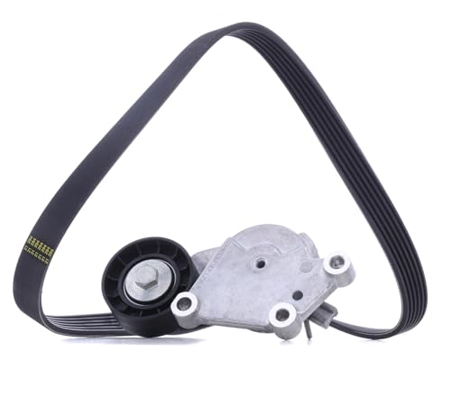 Kit rodillo + correa SNR ka859.22 para reparar ruido y vibración en motor