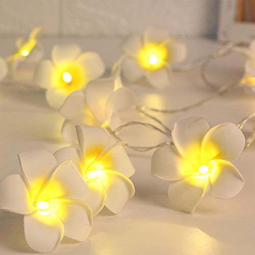 Andoer 20 LEDs 9,84 pés de luz de corda em forma de flor piscando luzes de fada branco quente luzes