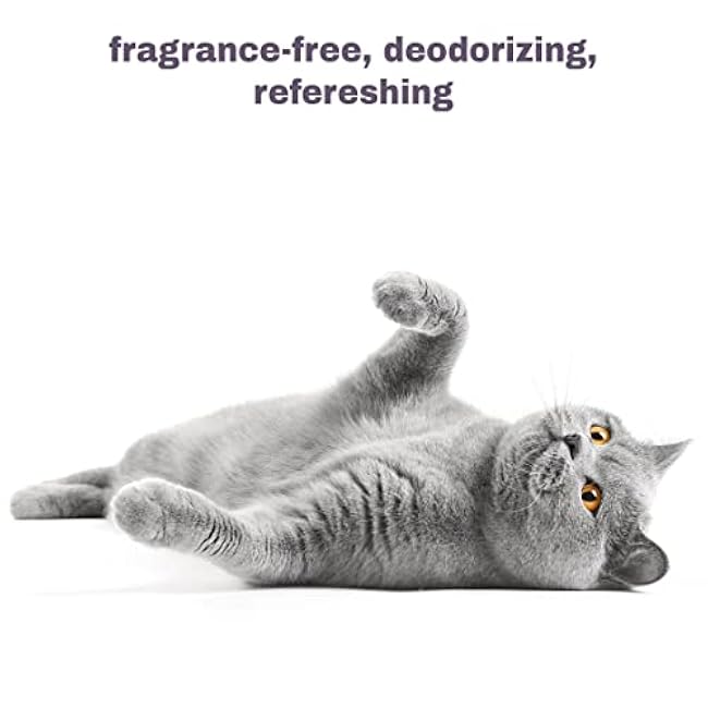 Soothing Hypoallergenic Cat Shampoo ¨C Easy at-Home Cat Grooming | Deodorizes | Gentle & Anti-Itch | Natural & Allergy-Safe Cat Shampoo Sensitive Skin ¨C Fragrance Free | 9 fl oz-rnDGkvLn