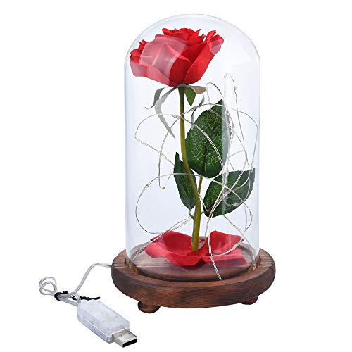 Preisvergleich Produktbild Hahuha , Romantische unsterbliche Blumen-Mikrolandschafts-Rosen-Simulat... geführtes Llight