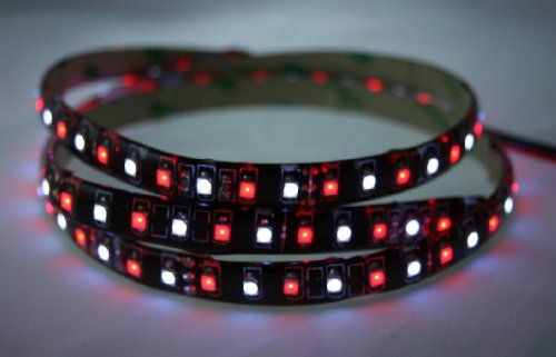 Tira de luces LED de 24V color dual rojo/blanco miniatura 1