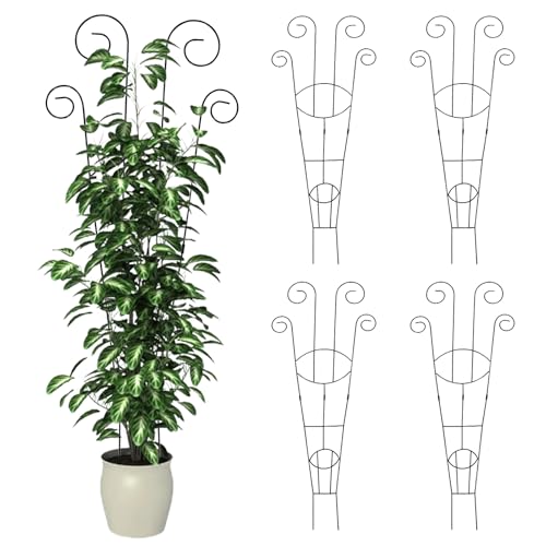 4 Pack Metal Trellis for Climbing Potted Plants Indoor Outdoor