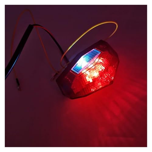 Conjunto de luz trasera de motocicleta LED con óptica ahumada 2