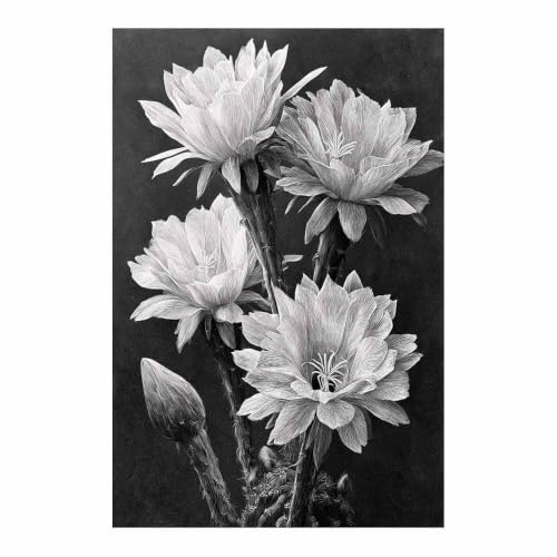 Toile murale fleur de cactus noir et blanc pour relooker un mur vide de salon