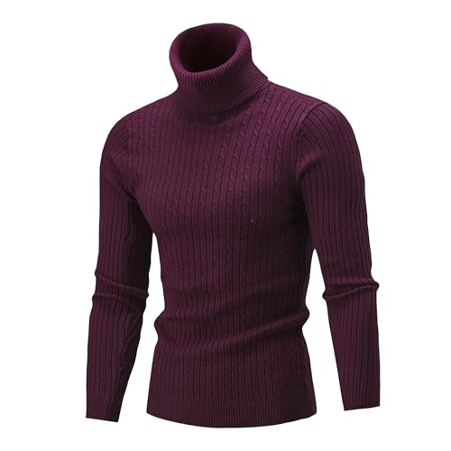 Men's Twisted Knitted Pullover Long Sleeve Turtleneck Sweater Cable Knitted Casual Sweaters for Men