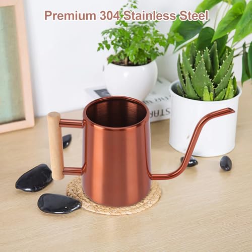 Image of Watering Can Indoor Plants, 35 oz /1000 ml Metal Stainless Steel Watering Can Pot with Long Spout for Indoor House Plants Bonsai Outdoor Garden Flower Decorative (Copper)