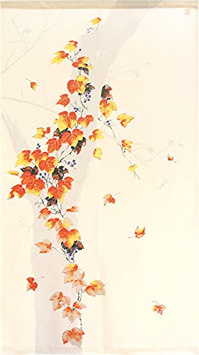 ̂H[ ̂ a  a_ ^yXg[ ډB g Ԃ̂ Ӎgt 85cm 150cm Ia 95130