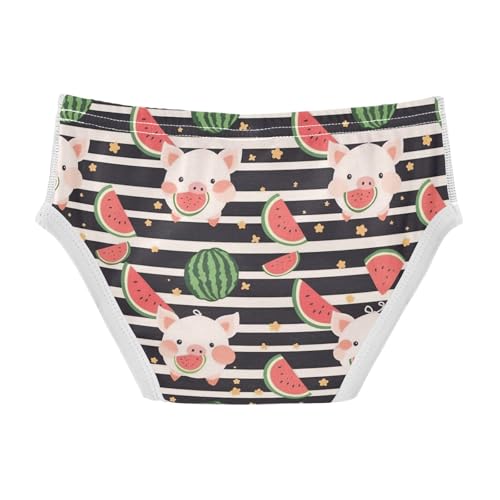 Wusikd Cute Cartoon Piggy Boys' Underwear Cotton Watermelon Black Striped Boys Briefs Soft Toddler Underwear 2T2