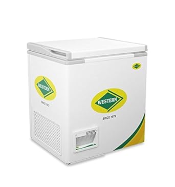 Western Deep Freezer WHF 225H