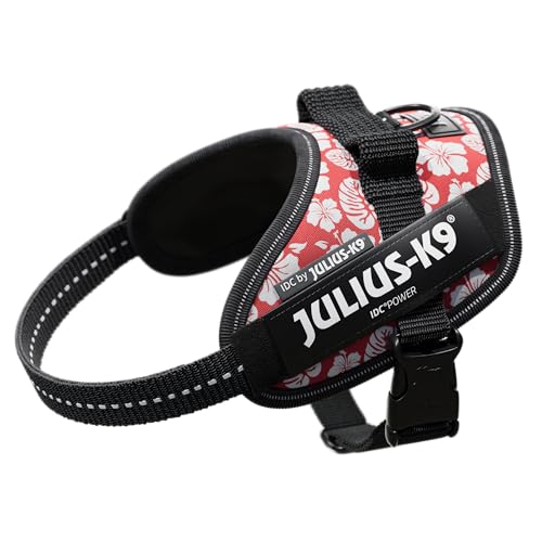 IDCp[n[lX, TCY: XS/~j~j, Anbh