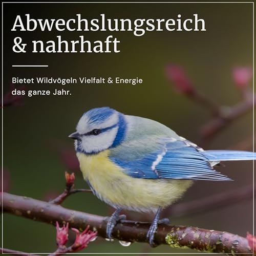 Erdtmanns Futterketten 12 x 650 g – Vogelfutter-Ketten mit Meisenknödeln & Nussbeuteln – abwechslungsreiches Ganzjahresfutter für Wildvögel – zum Aufhängen – Lange Haltbarkeit
