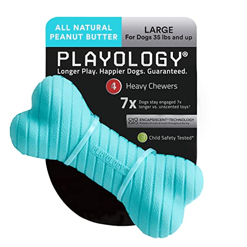 Playology Dual Layer Bone Dog Toy, for Large Dogs (35lbs and Up) - for Heavy Chewers - Engaging All-Natural Peanut Butter Scented Toy - Non-Toxic Materials