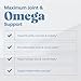 Omax3 Professional Strength Ultra-Pure Omega-3 Fish Oil - 1000 mg - Maximum Joint & Muscle Support - EPA DHA - NSF Certified - 60 Softgel Blister Pack