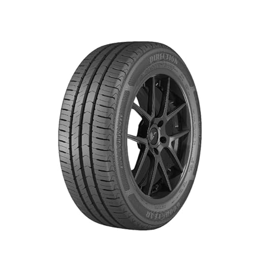 PNEU GOODYEAR ARO 16 DIRECTION SPORT 2 205/55R16 91V