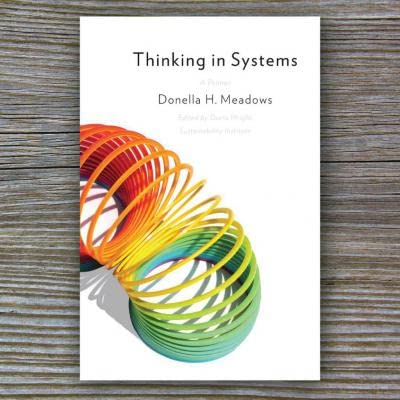 Image of Thinking in Systems: International Bestseller