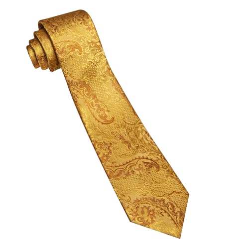 Image of Barry.Wang Paisley Tie for Men Silk Woven Necktie and Tie Clip Set Wedding Party Business Formal