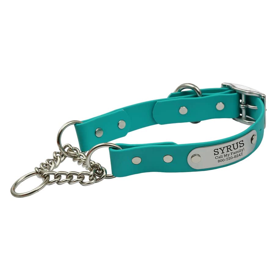 dogIDs Personalized Waterproof Chain Martingale Personalized Dog Collar, Made in USA - Soft Grip Biothane, Adjustable, Odor Resistant - Teal, 3/4in Wide (Fits Neck Sizes 16-20in)