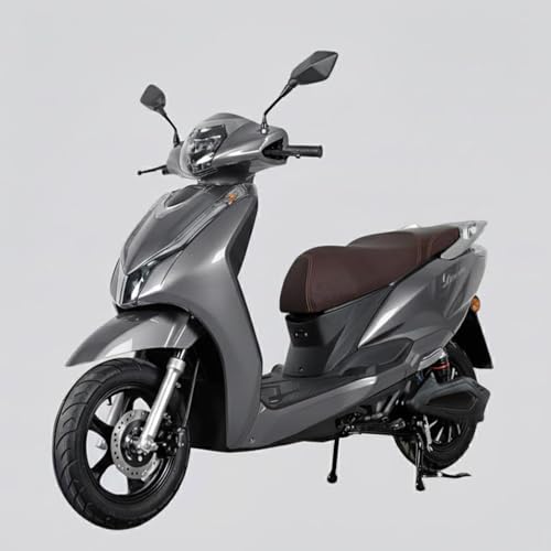 Image of Ryoto Non RTO Electric Scooty, Lithium, Sped 25 km /Hr, Maximum Range 50-55 km, Lightweight, Digital Speedometer, Motor Power 250W BLDC Bike Scooter for Men and Women (Grey)