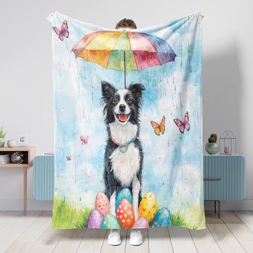 Manta de primavera y Pascua Border Collie de 50 x 60 pulgadas, divertida manta de franela cálida y esponjosa para dormitorio, camping, sofá de mascotas