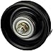 Dorman 419-701 Accessory Drive Belt Idler Pulley Compatible with Select Nissan Models