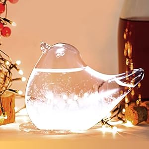 SUNJULY Storm Glass Weather Forecaster, Weather Station Liquid Barometer Weather Predictor for Office Desktop Home…