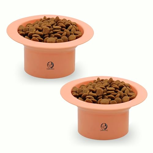 Image of Foodie Puppies Cat Food and Water Feeder (SaturnRing Bowl, Pack of 2) | Durable, Anti Vomiting, Healthy Cat Bowl for Persian Cat Prevent Tipping Over | Elevated Feeder for Cats and Small Dogs
