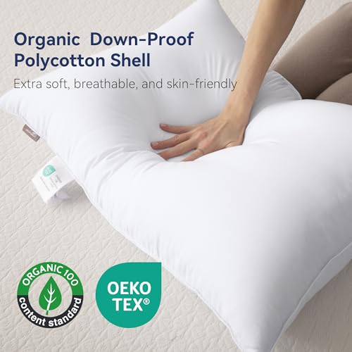 Goose-Feather-Down-Pillows-Queen-Size-Set-of-2-Luxury-Soft-Feather-Down-Pillow-for-Sleeping-Hotel-Quality-Bed-Pillows-Wrapped-in-Polyester-Solid-White-20×30-Inches Goose Feather Down Pillows Queen Size Set of 2 Luxury Soft Feather Down Pillow for Sleeping Hotel Quality Bed Pillows Wrapped in Polyester Solid White 20×30 Inches