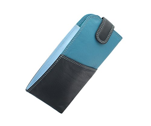 Visconti Rainbow Collection Belize Nappa lederen bril hoesje RB106