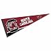 South Carolina Gamecocks Pennant Full Size Felt