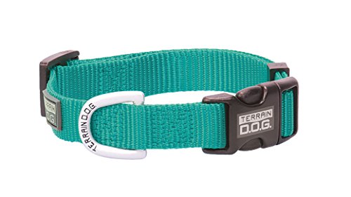 Terrain D.O.G. Nylon Adjustable Snap-N-Go Dog Collar, Mint, 3/4" x 13"-19"/Medium