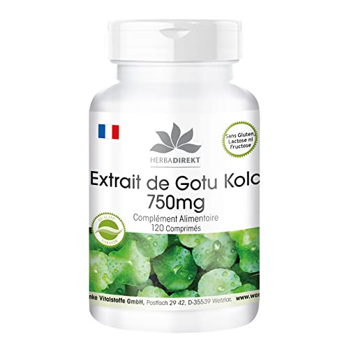 Noix De Kola (petit Kola) 3 Pièces, Fruits Exotiques Naturels, Frais, Emballage Individuel
