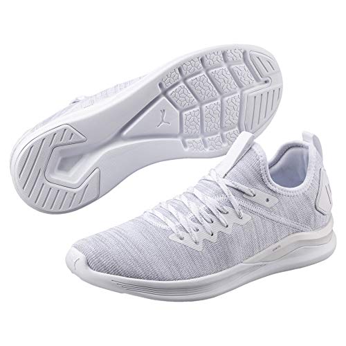 puma ignite evoknit flash 2013