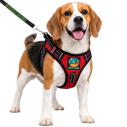 Image of Adjustable Padded Dog Harness with Leash, Red, S (11-15 kg)