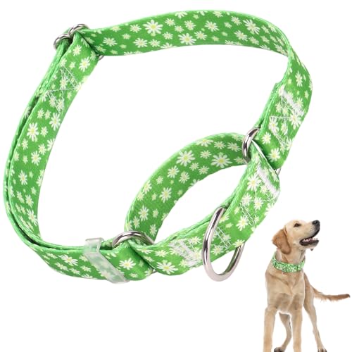 Martingale Collar for Dogs with Green Flowers, Adjustable Premium No Slip Collar for Girl or Boy, Floral Design Dog Training Collar, Perfect for Training, Walking, Hunting (L) 22 L (Neck 18"