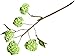Produktbild JoyRolly 1Pc Großhandel gefälschte Blumensimulation Echte natürliche künstliche Seidenblumen Blatt für Home Office Party Hotel Shop Zaun Dekor Hochzeitssträuße Green